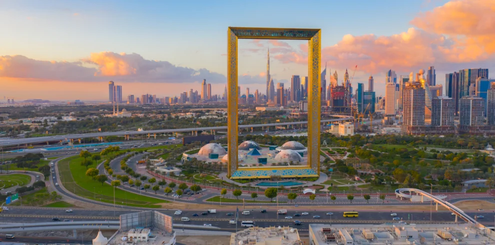 dubia frame