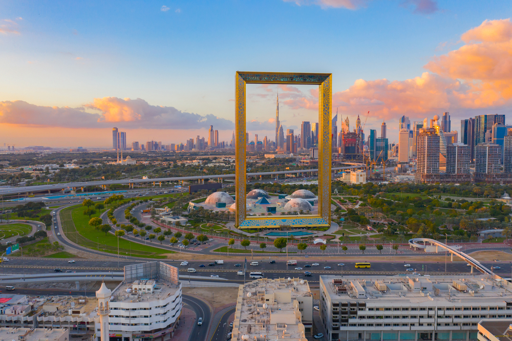 dubia frame