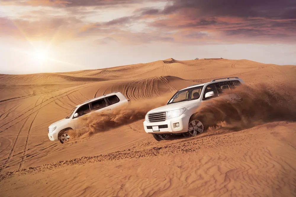 Desert safari